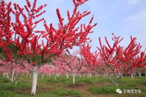【大事件】鄉風(fēng)文明之花開(kāi)遍正覺(jué)寺村