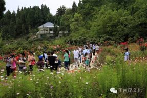 南部縣首屆微電影節開(kāi)幕式精彩視頻，怎容錯過(guò)！